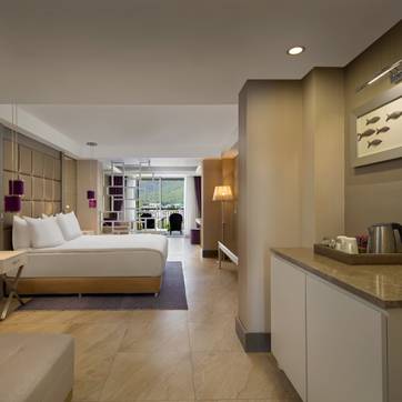 Deluxe Room, Mountain View